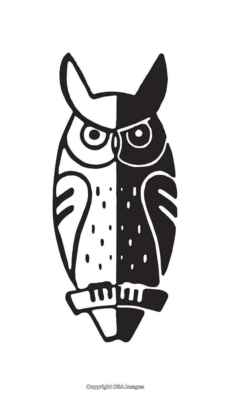 Black and White Line Art Illustration of an Owl in Abstract Design