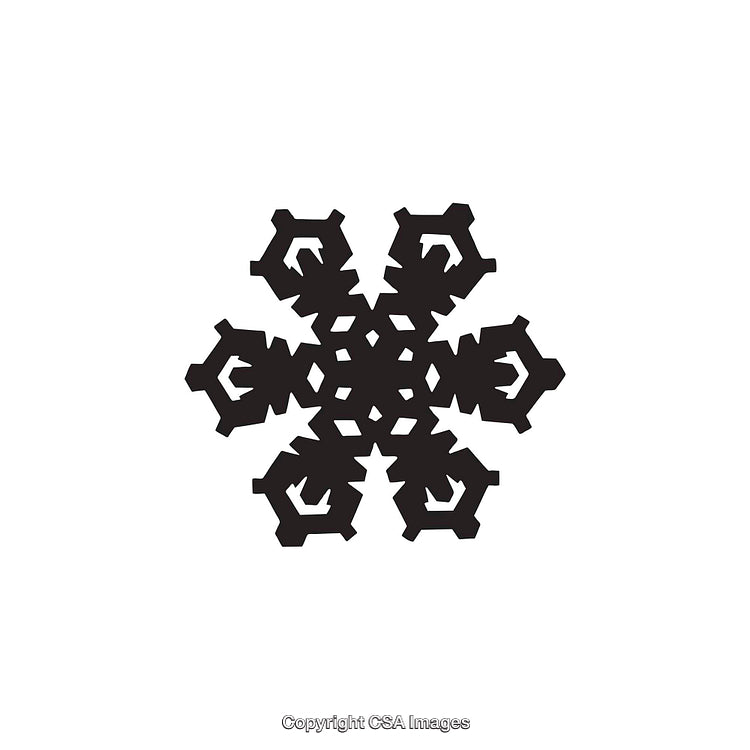 Black And White Abstract Snowflake Dingbat Design on White Background