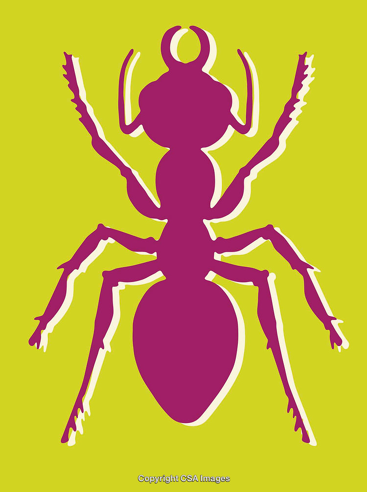 Colorful Ant Silhouette Illustration in Vibrant Modern Art Style