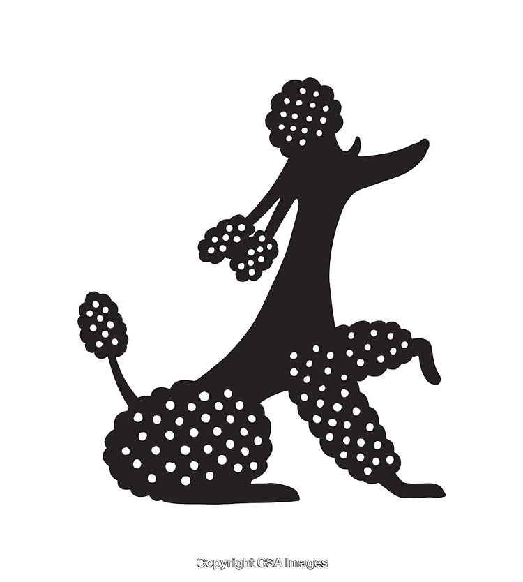 Black and White Silhouette of a Stylish Poodle Illustration
