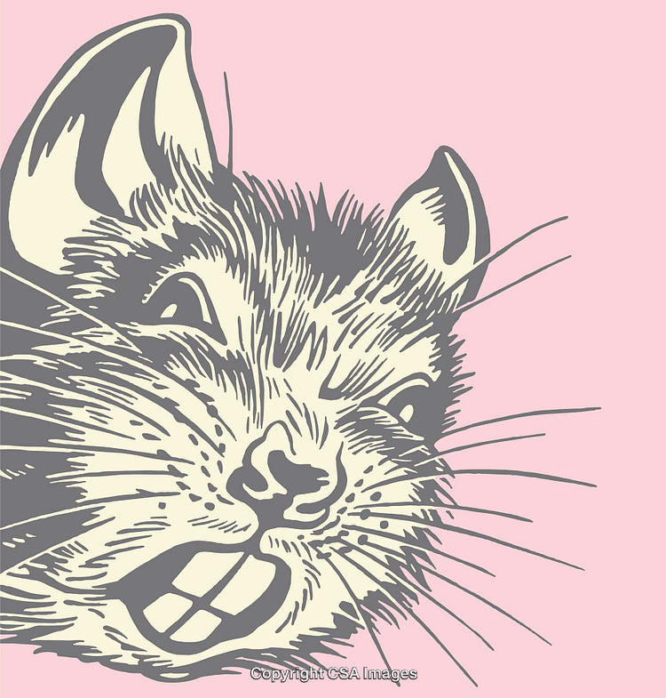 Detailed Vector Illustration of a Rat in Color Against a Pink Background