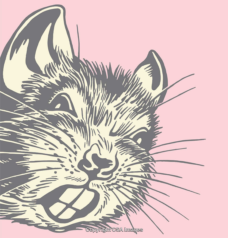 Detailed Vector Illustration of a Rat in Color Against a Pink Background