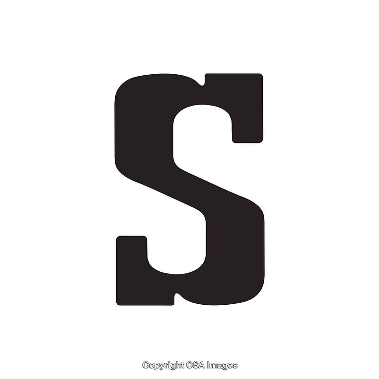 Bold Black Letter S on a Solid White Background