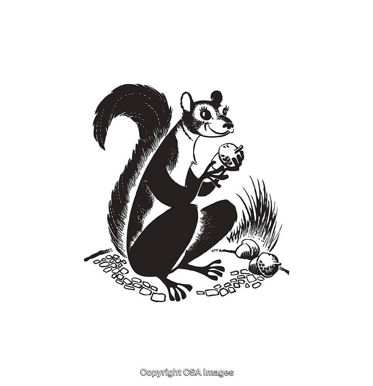 Detailed Black and White Illustration of a Squirrel Holding an Acorn