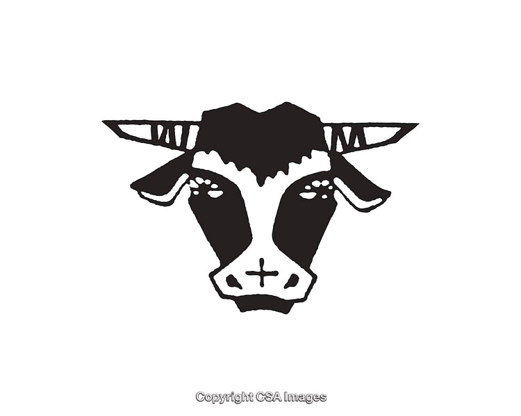 Stylized Black and White Illustration of a Cow's Head