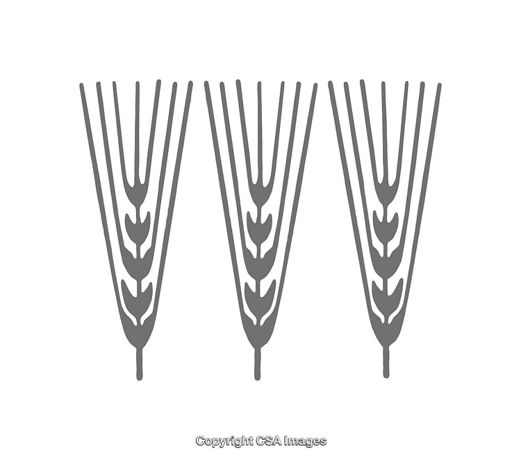 Simple Gray Icon of Three Stylized Wheat Ears in a Row