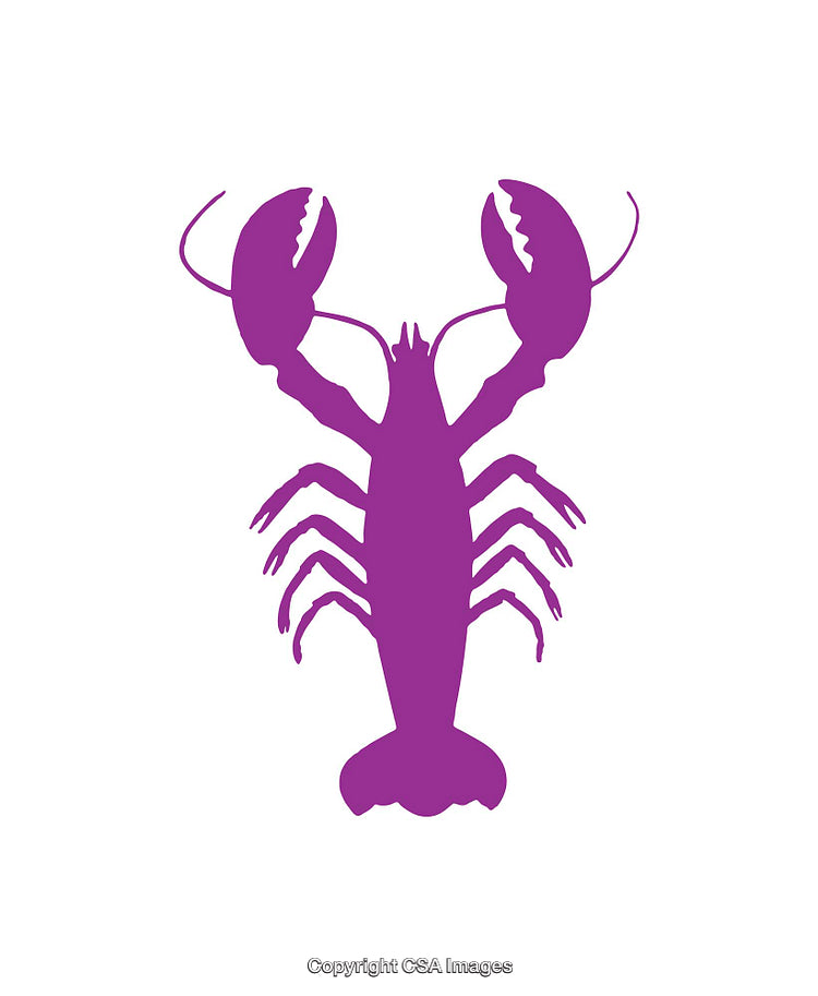 Purple Silhouette of a Lobster on a White Background