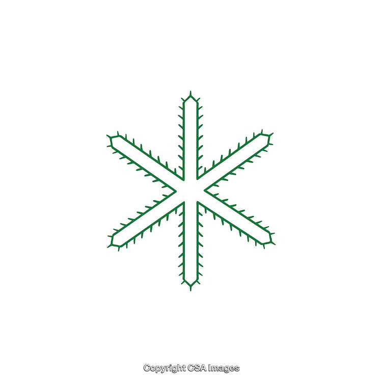 Green Snowflake Symbol with Botanical Branch-Like Design Elements