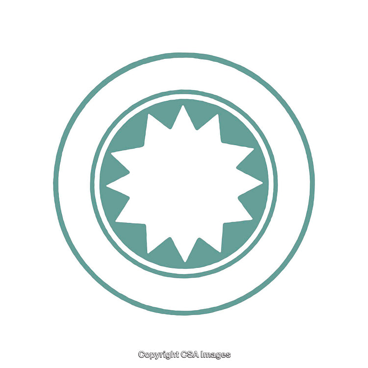 Abstract Geometric Symbol Featuring Circular and Starburst Elements in Minimalist Style