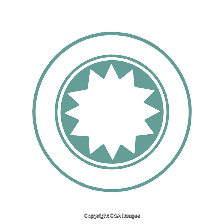Abstract Geometric Symbol Featuring Circular and Starburst Elements in Minimalist Style