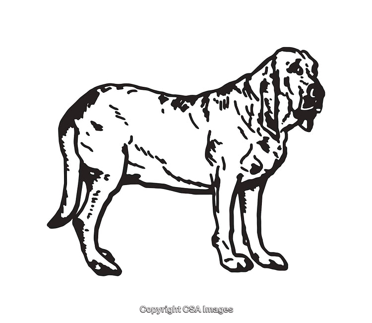 Black and White Line Art Illustration of a Standing Dog