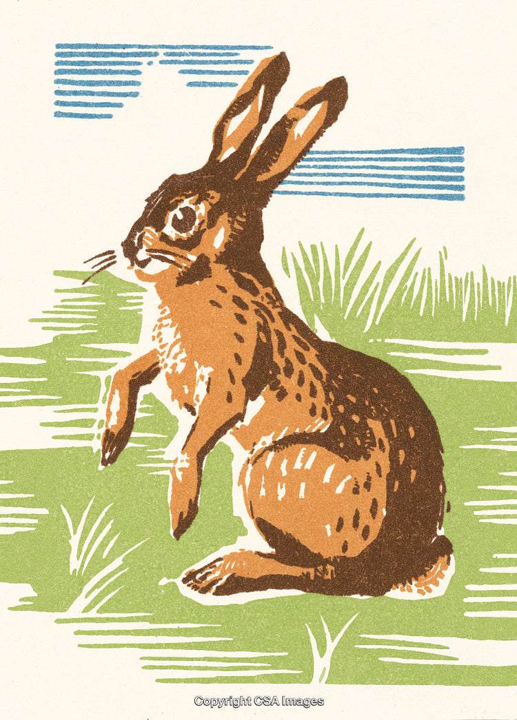 Illustrative Drawing of a Rabbit in Grass with Blue and Green Accents