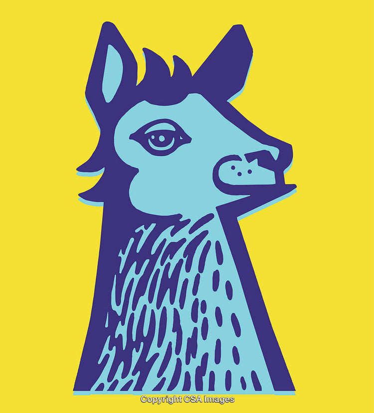 Colorful Illustration of a Llama with Bold Lines and Vibrant Colors