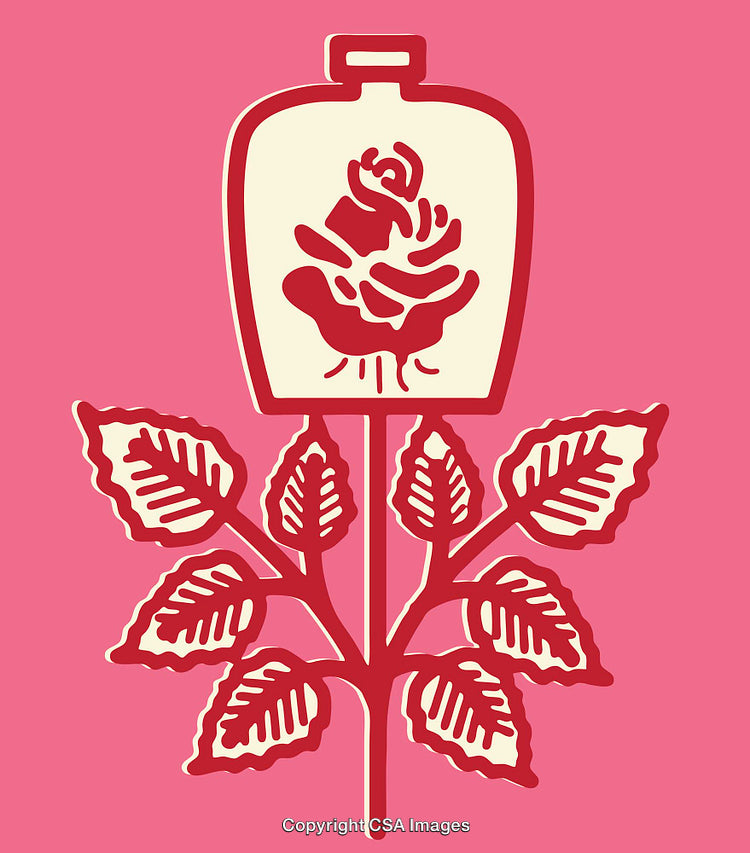 Stylized Red Rose Illustration With Artistic Line Design on Pink Background