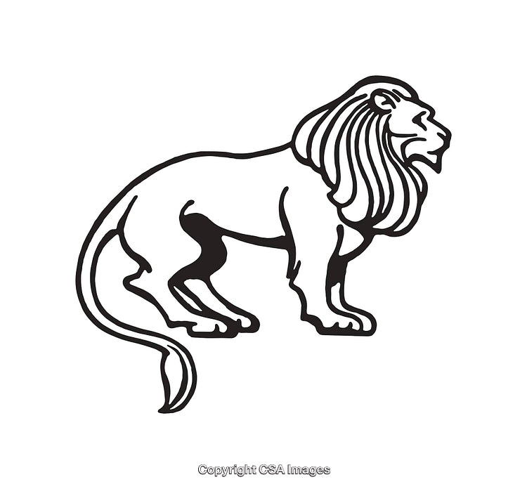 Black and White Line Art of a Standing Majestic Lion