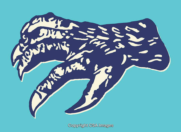 Detailed Illustration of a Clawed Animal Limb on Blue Background