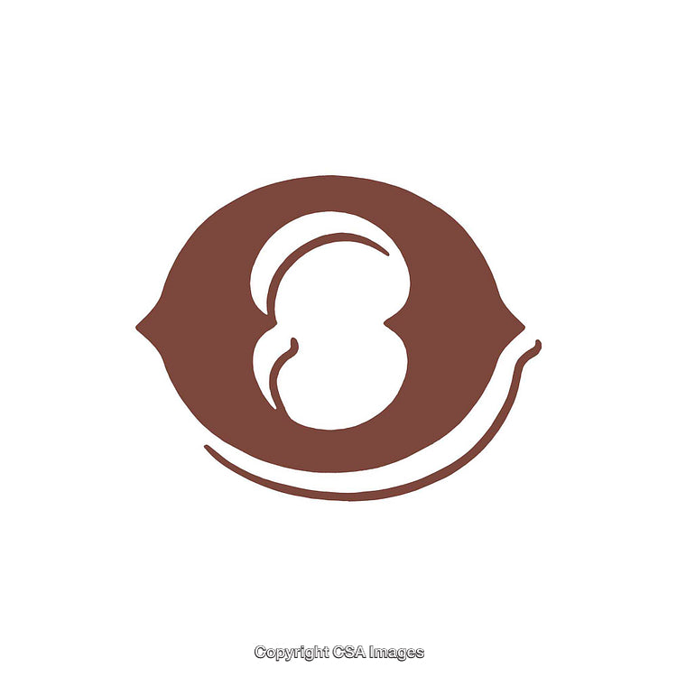 Elegant Abstract Design Featuring Number Zero in Brown Shades
