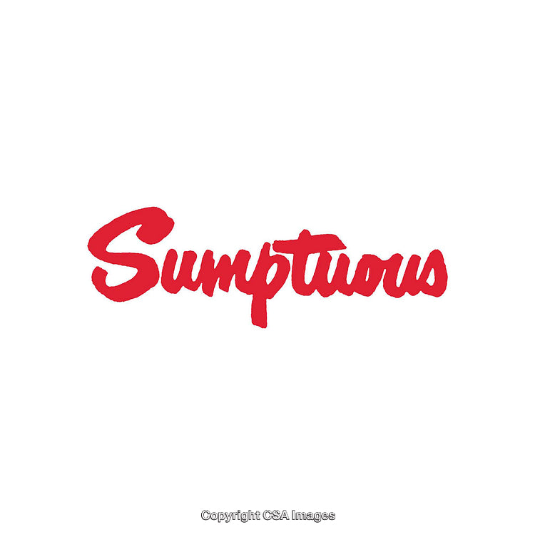 Bold Red Script Typography on White Background for Modern Graphic Design