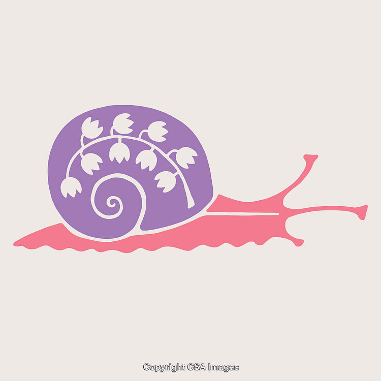 Colorful Snail Illustration with Floral Shell and Whimsical Design