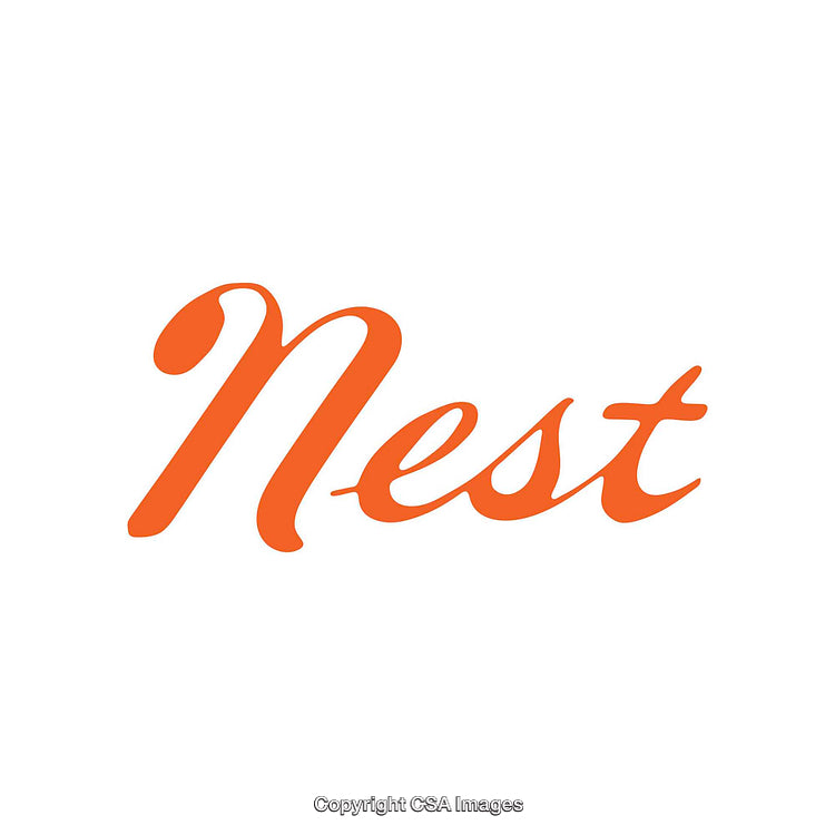Minimalist Orange Text Logo Displayed on a White Background