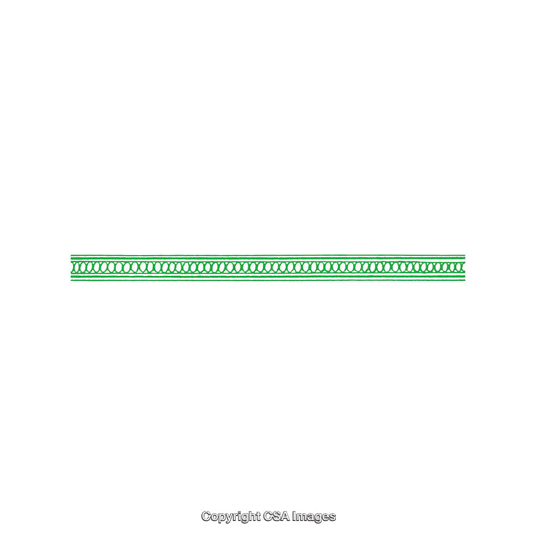 Close-Up of Green Decorative Patterned Trim on White Background