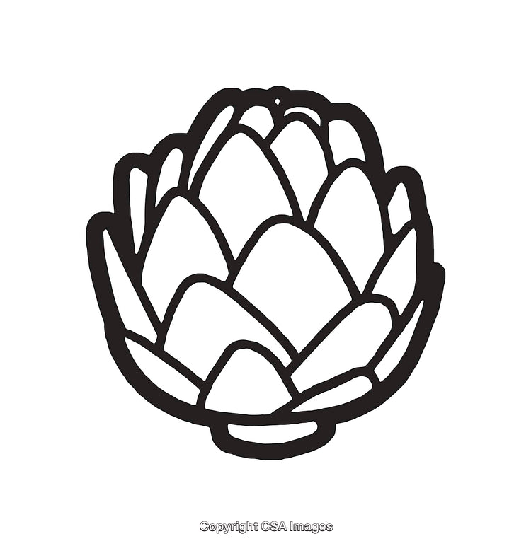 Black and White Line Art Illustration of an Artichoke