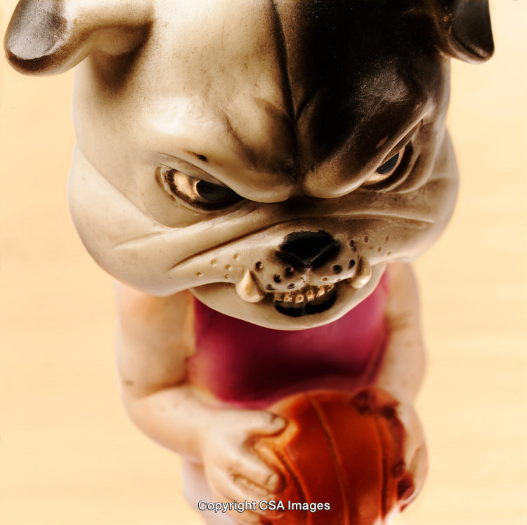 Humorous Figurine of Bulldog Holding Basketball in Close-Up View
