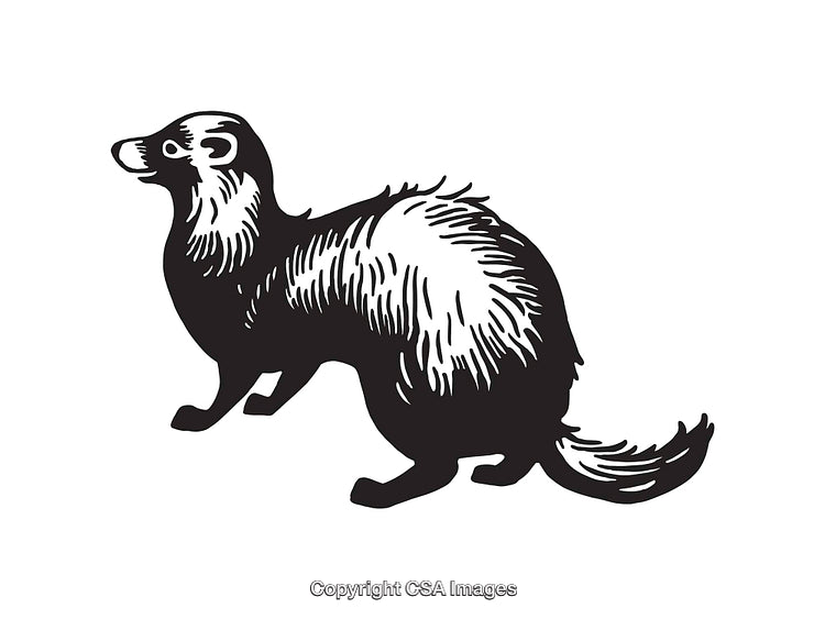 Black And White Line Art Illustration of a Furry Animal