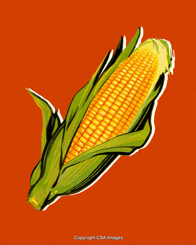 Illustrated Single Ear of Corn on Bright Orange Background