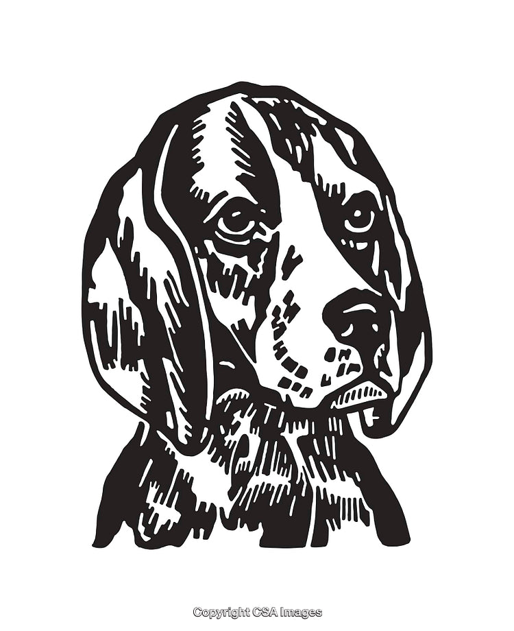 Detailed Black And White Line Art Illustration of a Dog Portrait