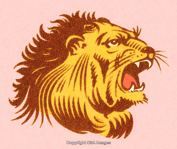 Detailed Illustration of a Roaring Lion Head on Pink Background