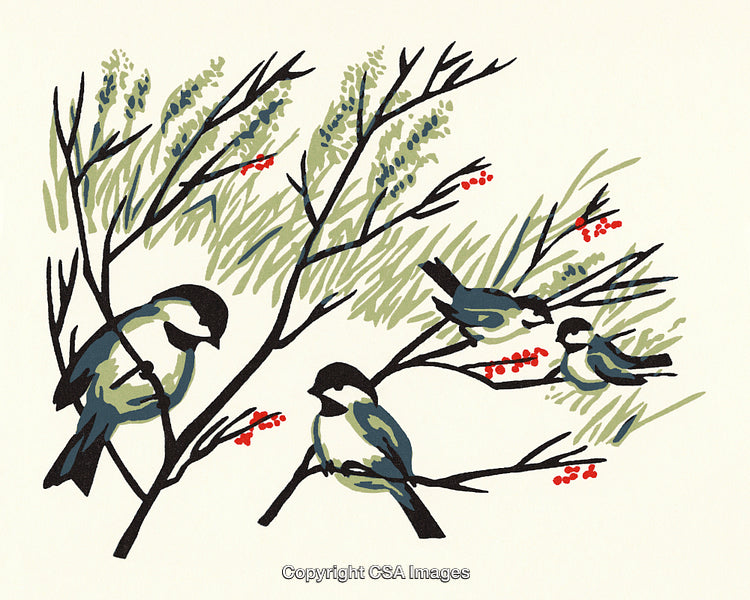 Illustration of Birds Perched on Branches with Vibrant Red Berries