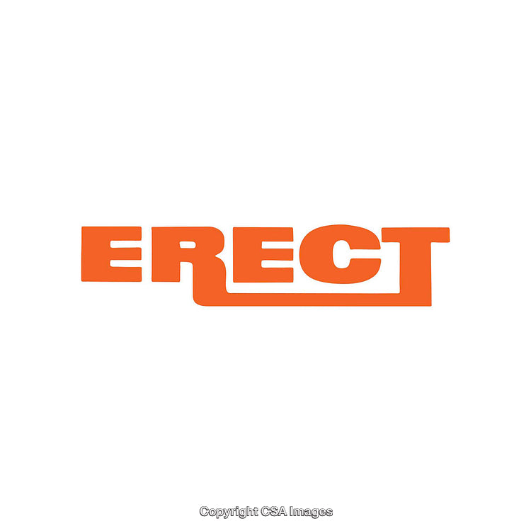 Bold Orange Text Design with Minimalist Appeal on White Background
