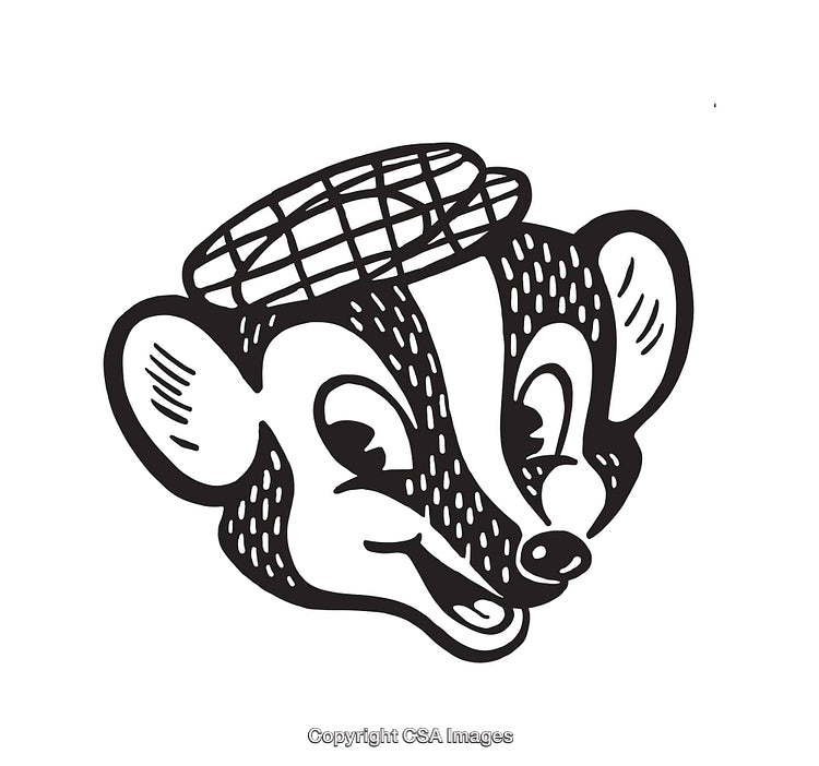 Vintage Badger Illustration in Black and White Line Art Style