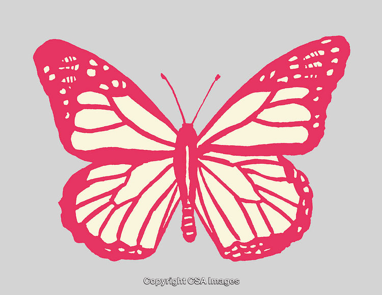 Pink Butterfly Line Art Illustration on a Gray Background