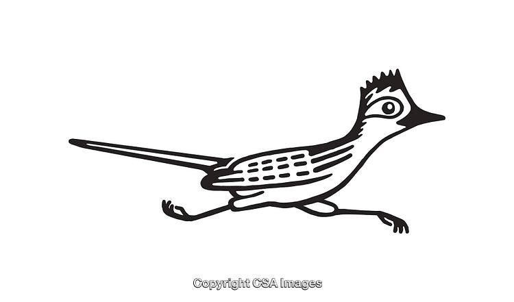Black and White Line Art of a Stylized Running Roadrunner Bird