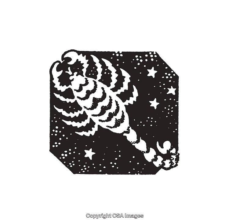 Black and White Line Art Illustration of a Scorpion With Stars