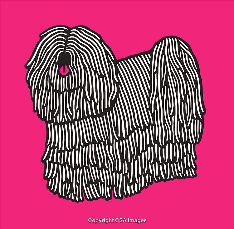 Stylized Line Art Illustration of a Long-Haired Dog on Bold Pink Background