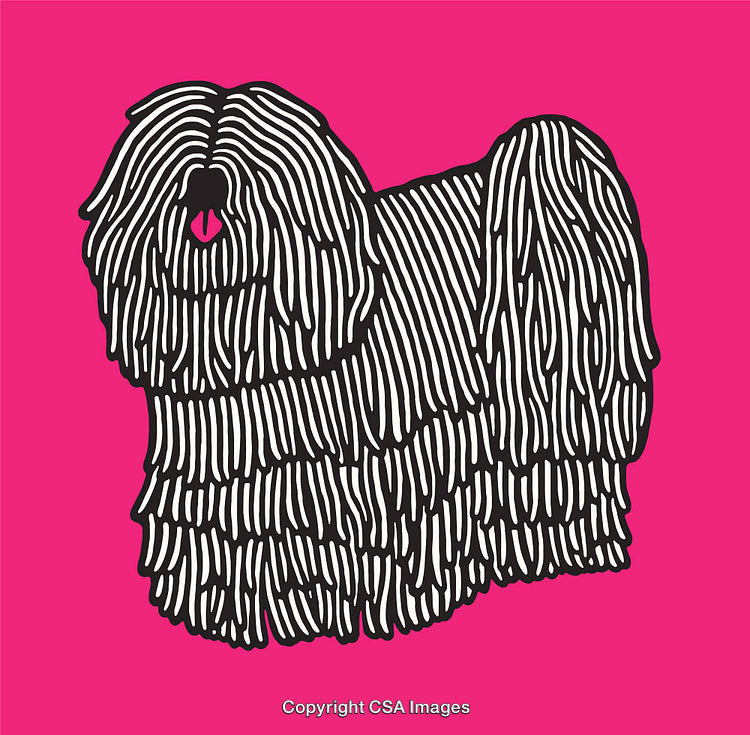 Stylized Line Art Illustration of a Long-Haired Dog on Bold Pink Background