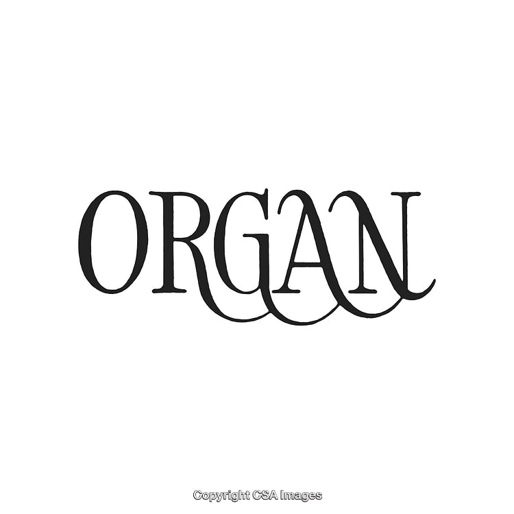 Elegant Typeface Design with Artistic Flourishes and Bold Serif Style