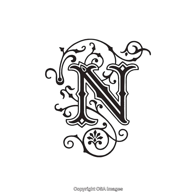 Elegant Ornamental Letter N With Classic Floral Decorations