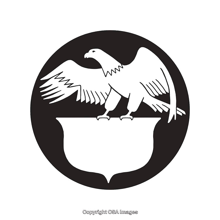 Eagle Silhouette Over Shield in Circle Black and White Design