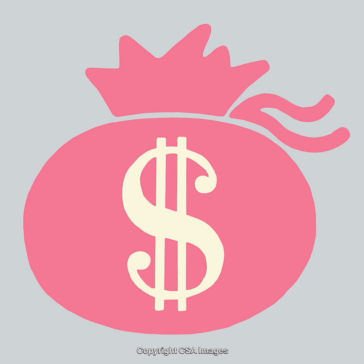Pink Money Bag Icon with Dollar Sign on Light Gray Background