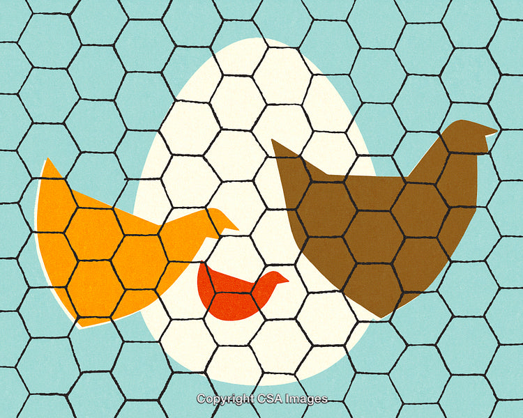 Abstract Illustration of Chickens, Nesting, and Egg Behind Wire Fence