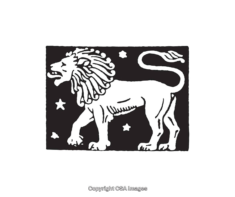 Black and White Line Art Illustration of a Lion and Stars