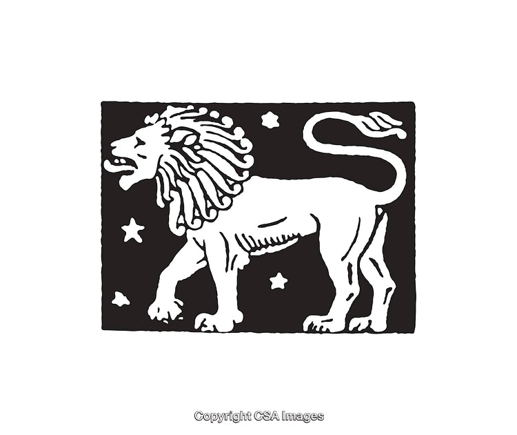 Black and White Line Art Illustration of a Lion and Stars