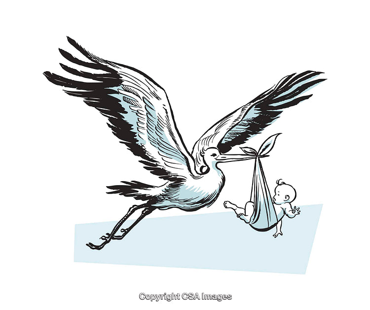 Stork Carrying a Baby Illustration in a Symbolic Delivery Theme