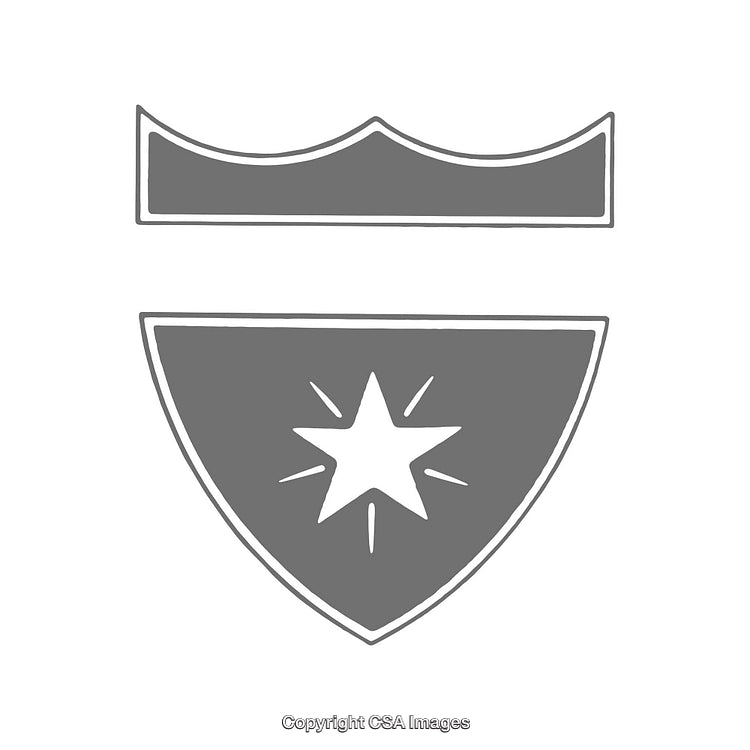 Minimalist Gray Emblem Design Featuring Star and Crown Motifs