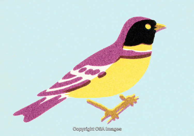 Colorful Stylized Illustration of a Bird with Vibrant Plumage and Golden Beak