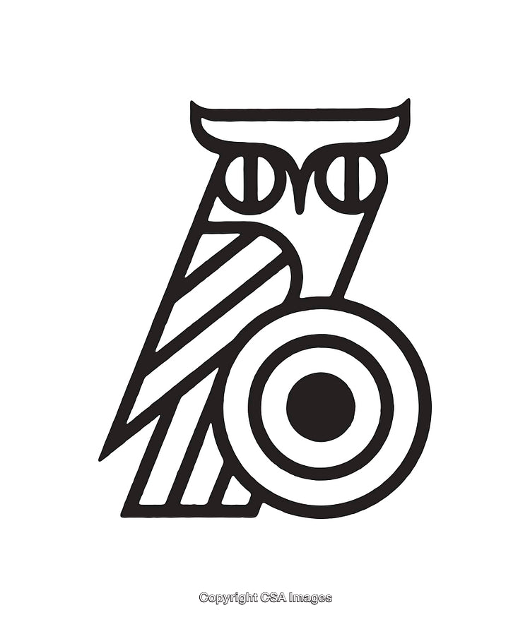 Minimalistic Black and White Line Art of an Owl Symbol